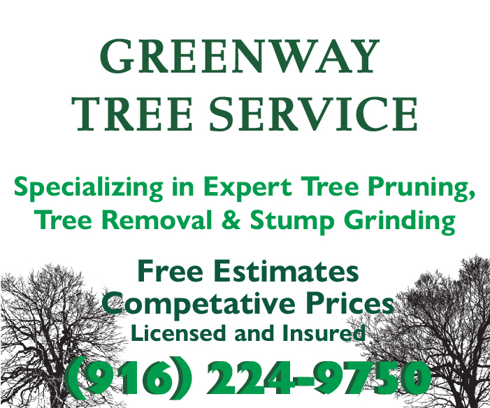 Greenway Tree Service Ad 